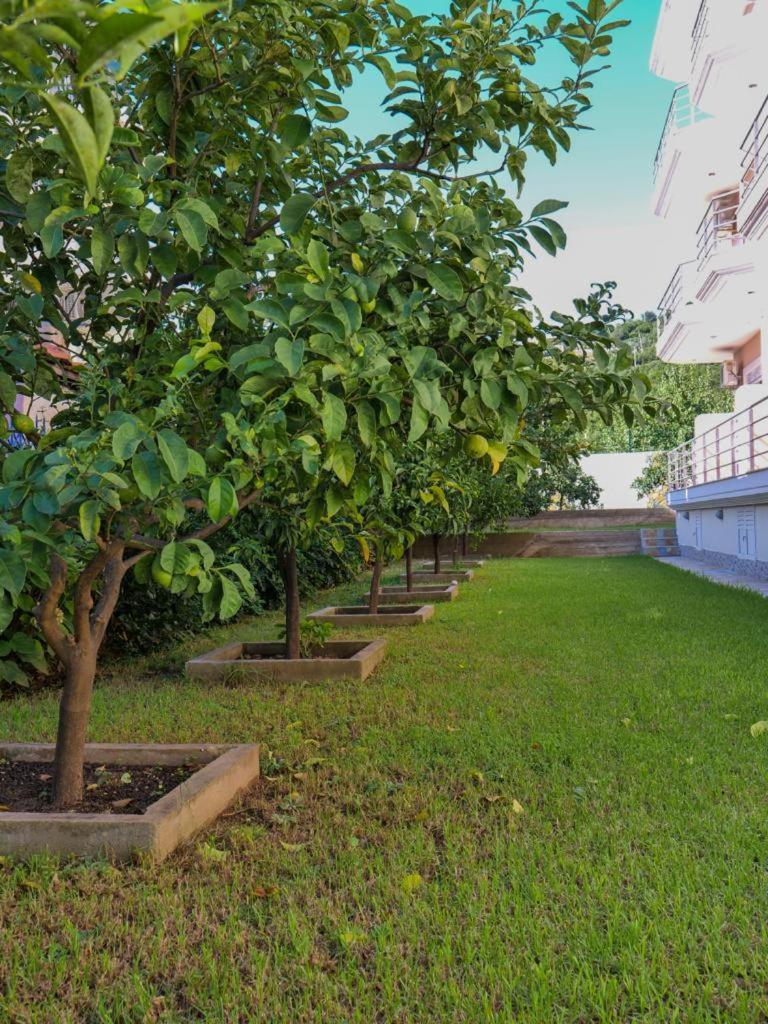 Himara Royal Hotel מראה חיצוני תמונה